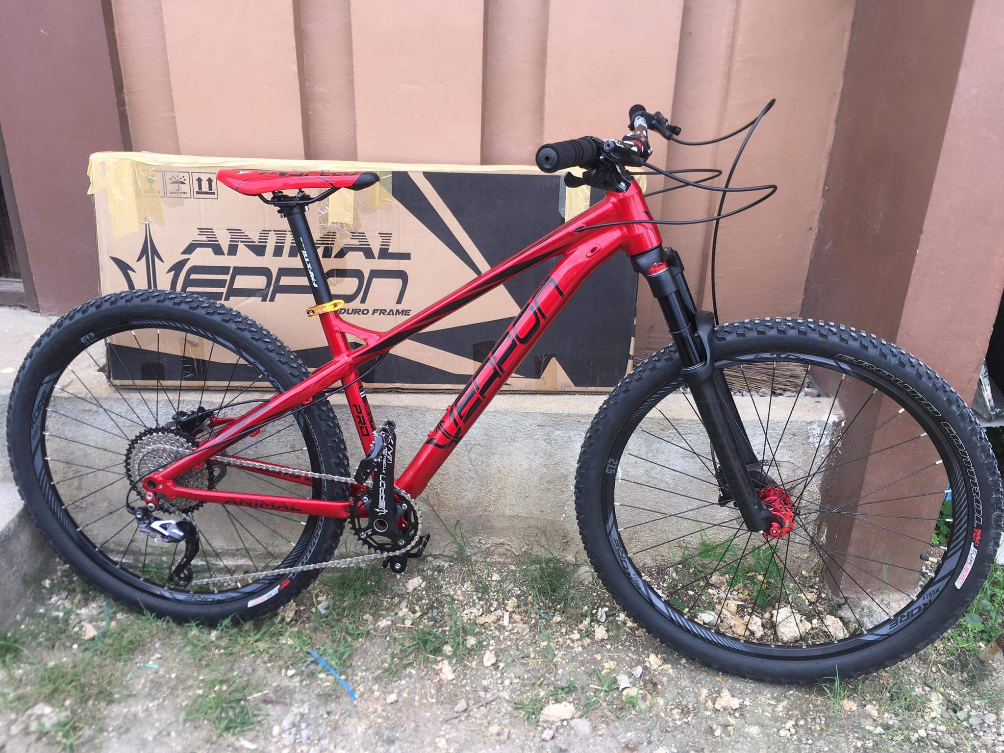 received_300587024908580